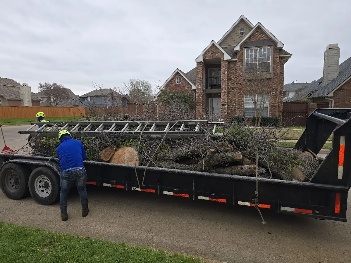 Expert Crown Reduction with proper safety equipment in Oakwood